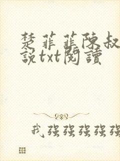 楚菲菲陈叔的小说txt阅读