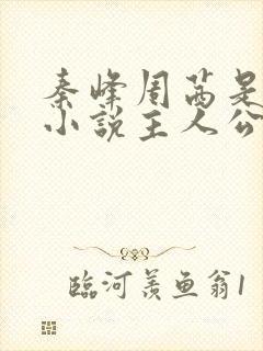 秦峰周茜是哪部小说主人公的