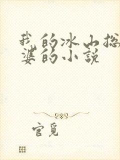 我的冰山总裁老婆的小说