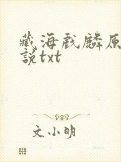 藏海戏麟原著小说txt