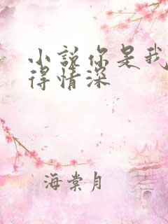小说你是我的难得情深