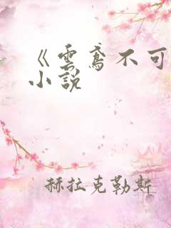 《云鸢不可追》小说