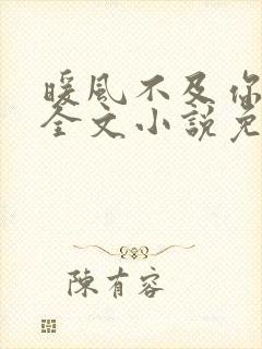 暖风不及你情深全文小说免费阅读