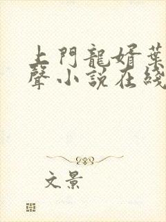 上门龙婿叶辰有声小说在线听