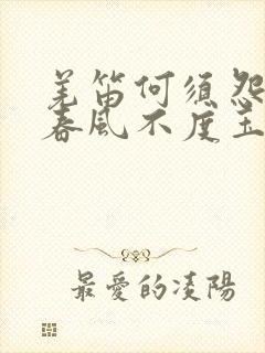 羌笛何须怨杨柳春风不度玉门关什么意思