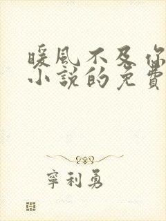 暖风不及你情深小说的免费阅读