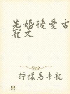 先婚后爱古言甜宠文