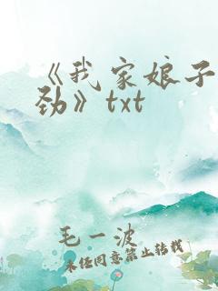 《我家娘子不对劲》txt