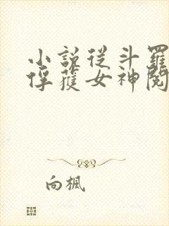 小说从斗罗开始俘获女神阅读