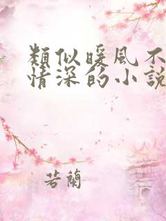 类似暖风不及你情深的小说