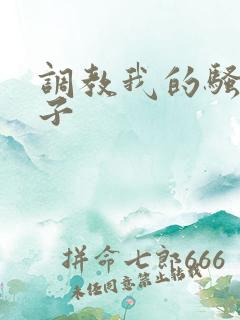 调教我的骚货妻子