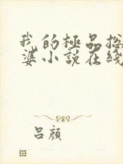 我的极品总裁老婆小说在线阅读