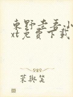 东野圭吾小说txt免费下载