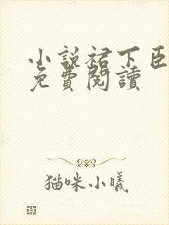 小说裙下臣全文免费阅读