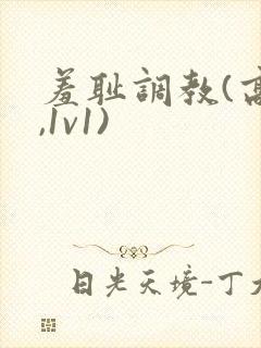 羞耻调教(高h,1v1)