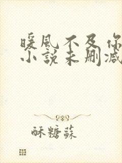 暖风不及你情深小说未删减在线看