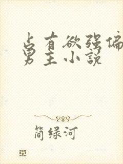 占有欲强偏执双男主小说