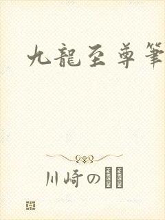 九龙至尊笔趣阁