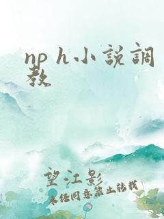 np h小说调教