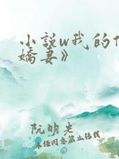 小说w我的倾城娇妻》