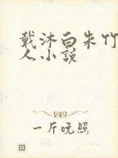 戴沐白朱竹清同人小说