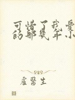 可惜了我爱着你的那几年小说免费阅读