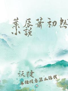叶辰萧初然听书小说