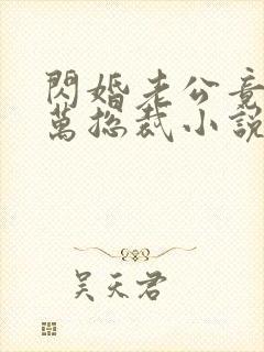 闪婚老公竟是亿万总裁小说小说