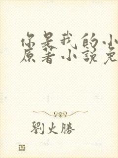 你是我的小确幸原著小说免费阅读