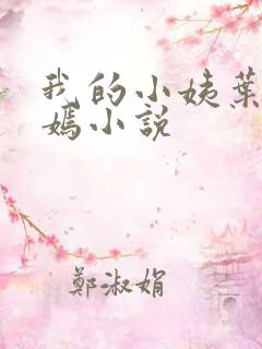 我的小姨叶凡司嫣小说