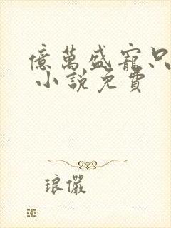 亿万盛宠只为你 小说免费