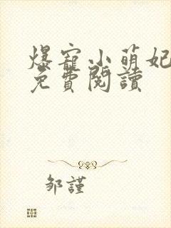 爆宠小萌妃小说免费阅读