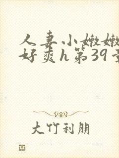 人妻小嫩嫩好紧好爽h第39章