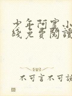 少年阿宾小说在线免费阅读