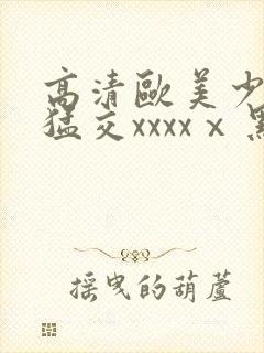 高清欧美少妇性猛交xxxxⅹ黑人猛交