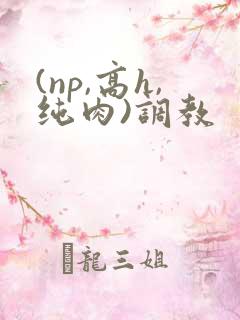 (np,高h,纯肉)调教