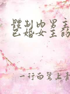 体制内男主看上已婚女主的小说