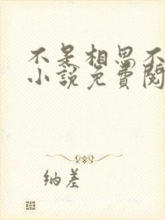 不是相思不落愁小说免费阅读