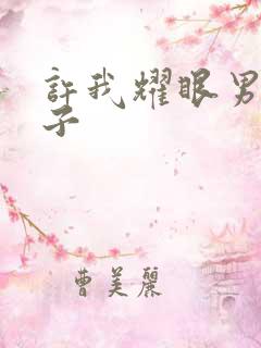 许我耀眼男主儿子