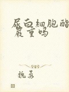 尿白细胞酯酶2 严重吗