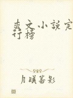 爽文小说完结排行榜