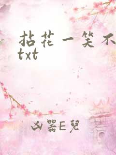 拈花一笑不负卿txt