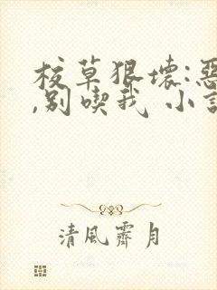 校草狠坏:恶魔,别吃我 小说