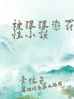 被狠狠惩罚的双性小说