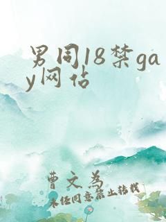 男同18禁gay网站
