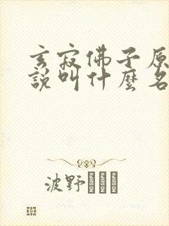 玄寂佛子原著小说叫什么名字