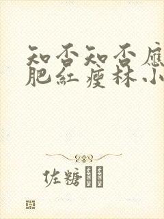 知否知否应是绿肥红瘦林小娘几集下线