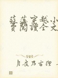 苏落穿越小说免费阅读全文