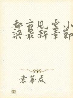 都市风云小说乔梁最新章节李初年