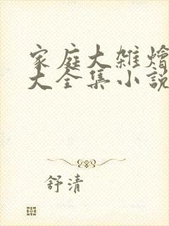 家庭大杂烩经典大全集小说